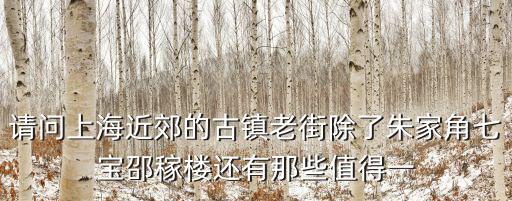 請問上海近郊的古鎮老街除了朱家角七寶邵稼樓還有那些值得一