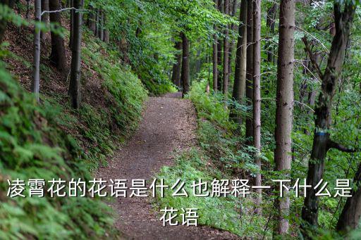凌霄花花語,凌霄花的花語:敬佩和聲譽，慈母之愛