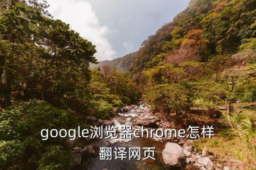google瀏覽器chrome怎樣翻譯網頁