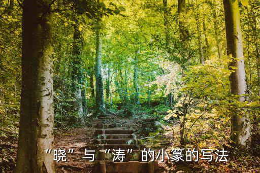 “曉”與“濤”的小篆的寫法
