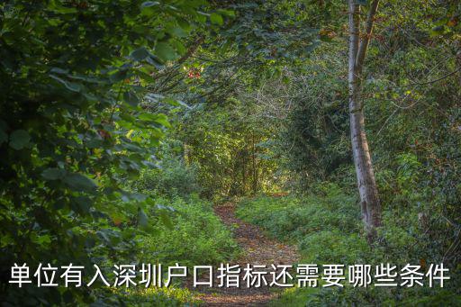 單位有入深圳戶口指標還需要哪些條件