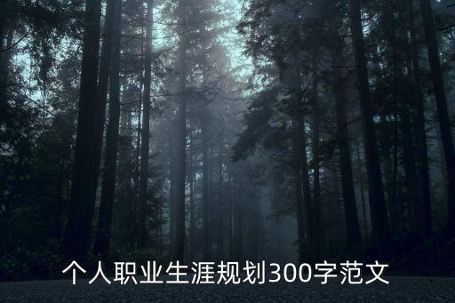 個人職業生涯規劃300字范文