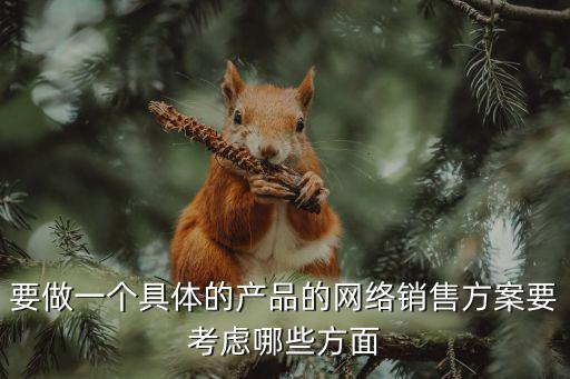 要做一個具體的產品的網絡銷售方案要考慮哪些方面