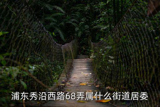 浦東秀沿西路68弄屬什么街道居委