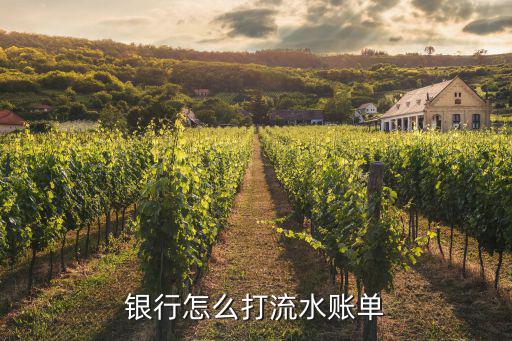 銀行怎么打流水賬單