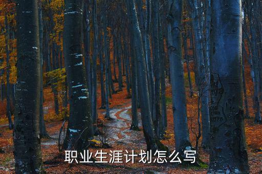 個人職業(yè)生涯規(guī)劃，個人職業(yè)生涯規(guī)劃怎么寫