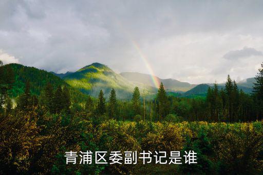 青浦區(qū)委副書記是誰