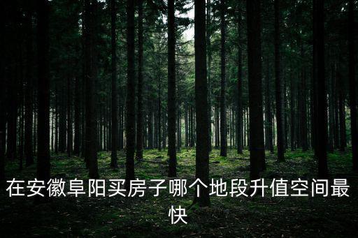 在安徽阜陽買房子哪個地段升值空間最快
