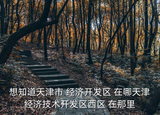 想知道天津市 經濟開發區 在哪天津經濟技術開發區西區 在那里