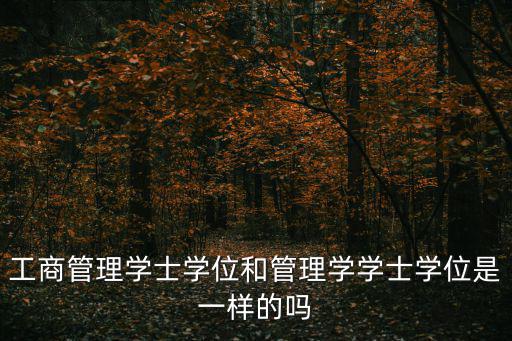 工商管理學士學位和管理學學士學位是一樣的嗎