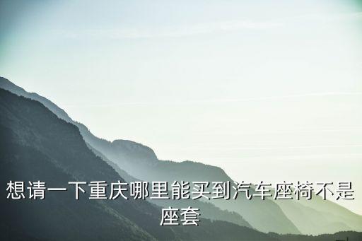 想請一下重慶哪里能買到汽車座椅不是座套