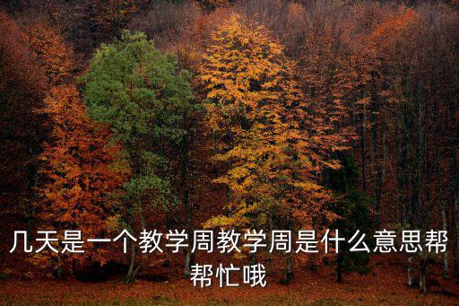 幾天是一個教學周教學周是什么意思幫幫忙哦
