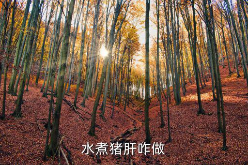 水煮豬肝咋做