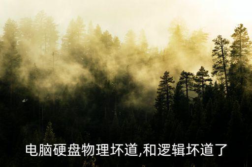 電腦硬盤物理壞道,和邏輯壞道了