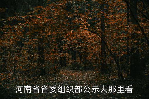 河南省省委組織部公示去那里看