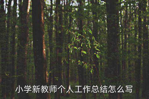 教師學期總結，生活老師對學生的學期總結