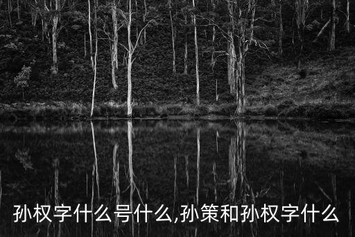 孫權(quán)字什么號什么,孫策和孫權(quán)字什么