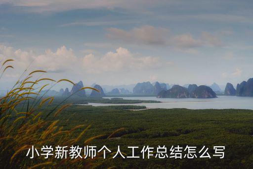 小學新教師個人工作總結怎么寫