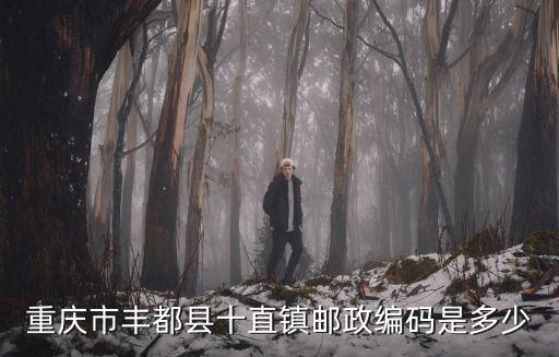 重慶市豐都縣十直鎮(zhèn)郵政編碼是多少