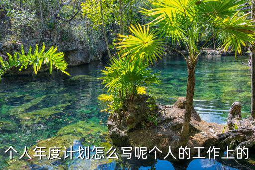 個人年度計劃怎么寫呢個人的工作上的