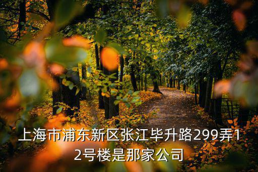 上海市浦東新區張江畢升路299弄12號樓是那家公司
