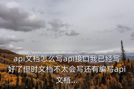 api文檔怎么寫api接口我已經寫好了但時文檔不太會寫還有編寫api文檔...
