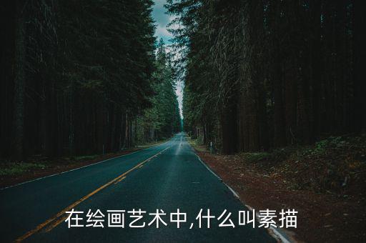 在繪畫藝術中,什么叫素描