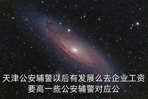 天津公安輔警以后有發(fā)展么去企業(yè)工資要高一些公安輔警對(duì)應(yīng)公