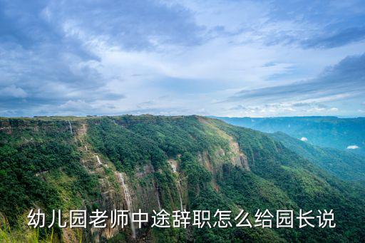 幼兒園老師中途辭職怎么給園長說