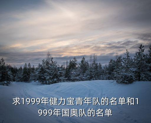 求1999年健力寶青年隊(duì)的名單和1999年國(guó)奧隊(duì)的名單