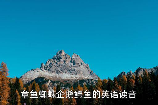 章魚蜘蛛企鵝鱷魚的英語讀音