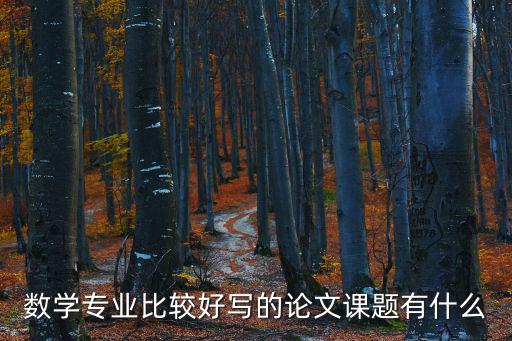 數學專業比較好寫的論文課題有什么