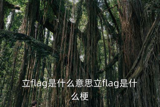 立flag是什么意思立flag是什么梗