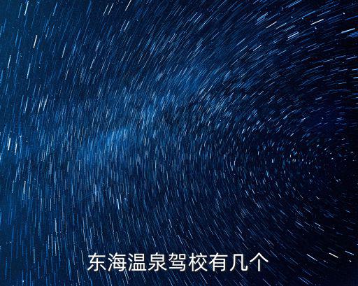 東海溫泉,東海溫泉鎮駕校有哪些?
