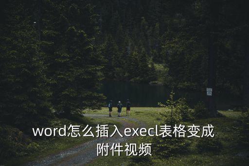 word怎么插入execl表格變成附件視頻