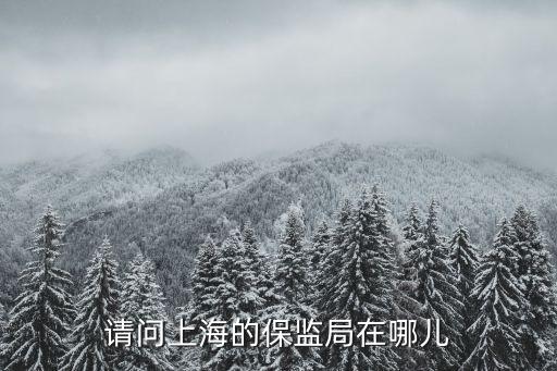 上海市浦東33所地址，上海浦東新區三林三舒路33弄在哪里啊