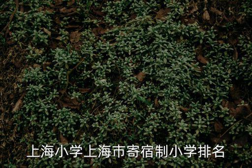 上海民辦小學排名，上海小學上海市寄宿制小學排名