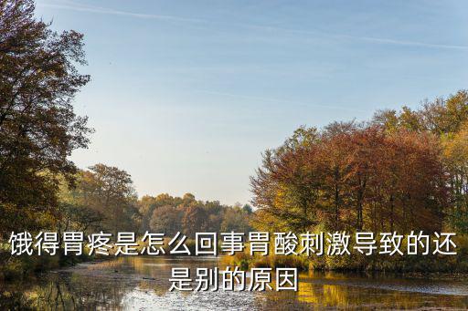 餓得胃疼是怎么回事胃酸刺激導(dǎo)致的還是別的原因