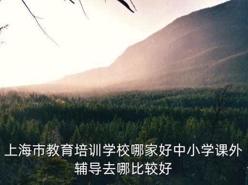上海市教育培訓(xùn)學(xué)校哪家好中小學(xué)課外輔導(dǎo)去哪比較好