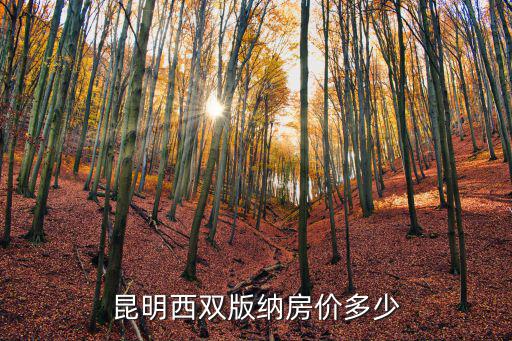 昆明西雙版納房價多少