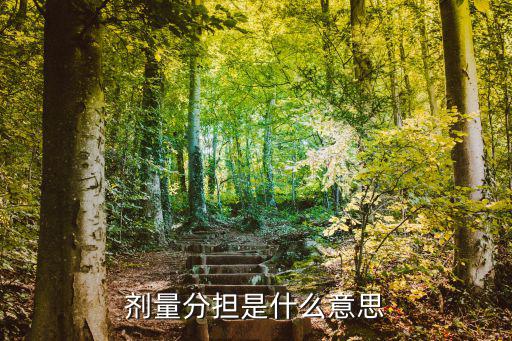 分擔(dān)的意思,保險(xiǎn)代理人的職業(yè)規(guī)劃