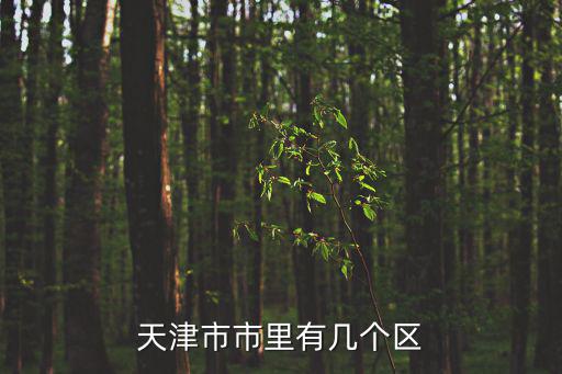 天津市多少個鎮(zhèn)和街道，天津市市里有幾個區(qū)