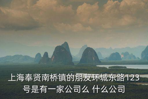 上海奉賢南橋鎮的朋友環城東路123號是有一家公司么 什么公司