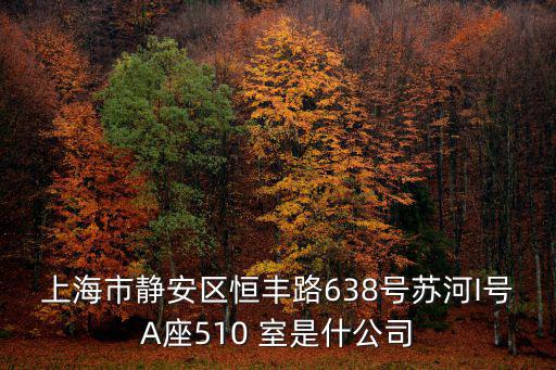 上海市靜安區(qū)恒豐路638號蘇河I號A座510 室是什公司