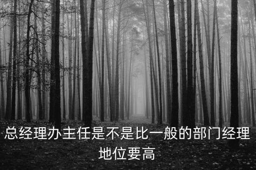 總經(jīng)理辦主任是不是比一般的部門經(jīng)理地位要高