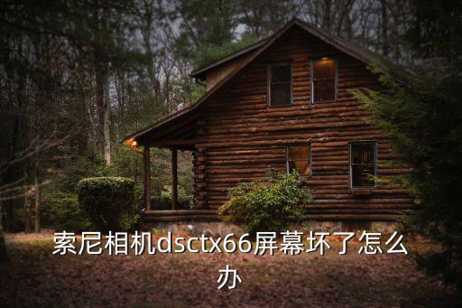 索尼tx66,索尼手機tx66和尼康770300哪款好?