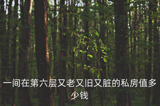 一間在第六層又老又舊又臟的私房值多少錢