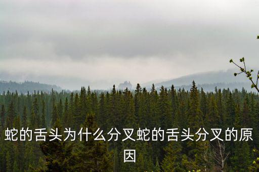 蛇的舌頭為什么分叉蛇的舌頭分叉的原因