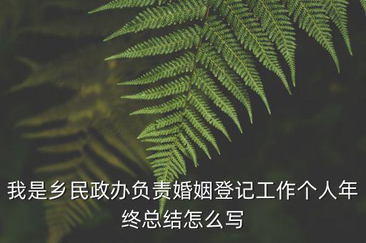 民政工作總結，民政干部個人工作小結怎么寫