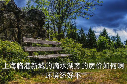 上海臨港新城的滴水湖旁的房?jī)r(jià)如何啊環(huán)境還好不